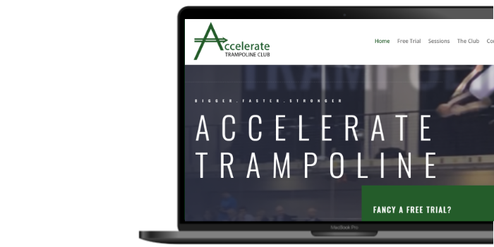 Website-Testimonial-Accelerate Tree Surgeon website design